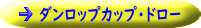 ダンロップカップ・ドロー